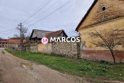 Casă individuală cu 3 camere cu Teren 1000 Mp în Goruia - 6