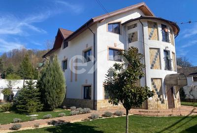 Casă individuală cu 10 camere cu Teren 20875 Mp în Păușești - 2