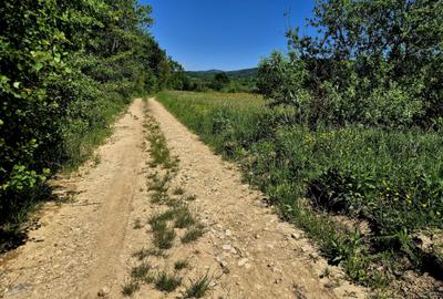 Teren agricol extravilan de 823 mp, în Șinca Nouă - 4