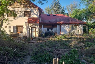 Teren Construcții intravilan de 2900 mp, în Mogoșoaia - 2