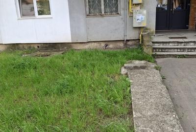 Apartament cu 2 camere în Paltin - 7