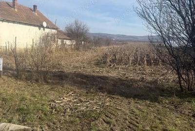 Teren de 5800 mp, în Central - 2