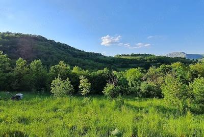 Teren de 2082 mp, în Vălișoara - 1