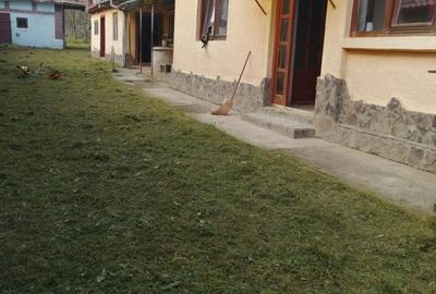 Apartament cu 4 camere în Tirimioara - 5