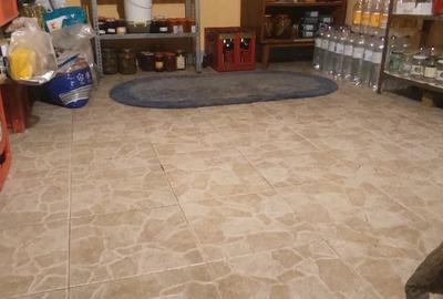 Casă cu Teren 229 Mp în Pârneava