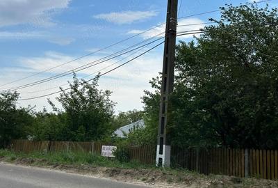Casă cu 5 camere cu Teren 5000 Mp în Central
