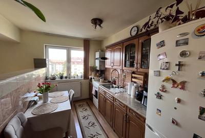 Apartament cu 2 camere nedecomandat, mobilat în Terezian - 5