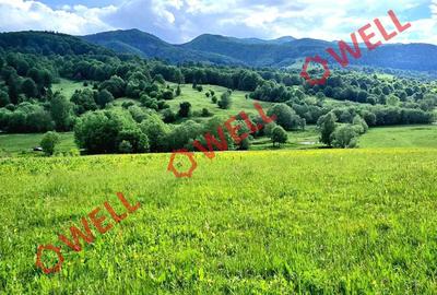 Teren de 9289 mp, în Vama Buzăului - 3