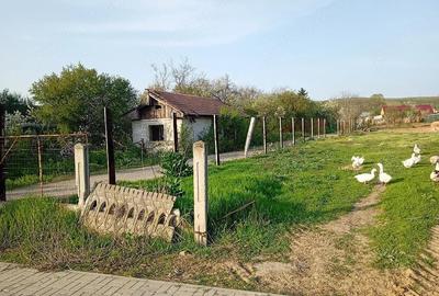 Teren de 1268 mp, în Brădești - 1