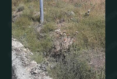 Teren de 800 mp, în Castelu