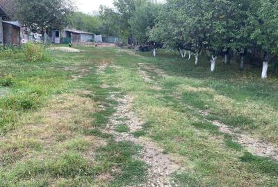 Spațiu comercial, în Gorgota - 13