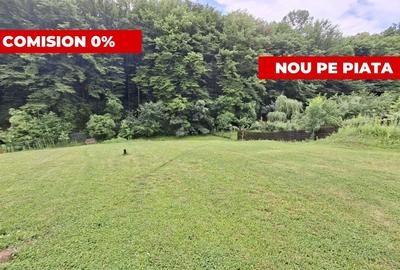 Teren Construcții intravilan de 1203 mp, în Bascov