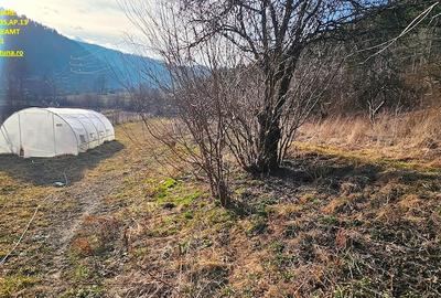 Casă cu 2 camere cu Teren 6000 Mp în Central - 9