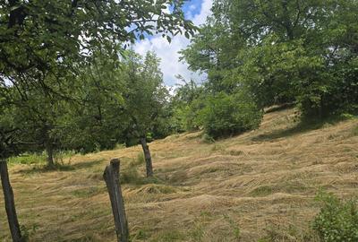 Casă cu 2 camere în Cepari - 4