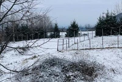 Teren de 500 mp, în Cisnădioara - 5