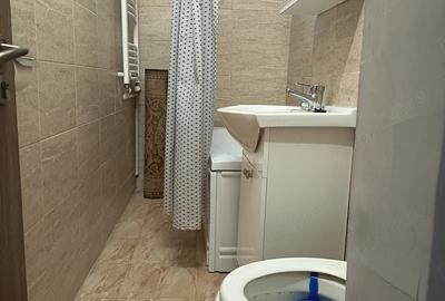 Apartament cu 2 camere semidecomandat în Craiovița Nouă - 8