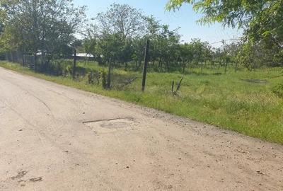 Teren de 1462 mp, în Ceptura - 4