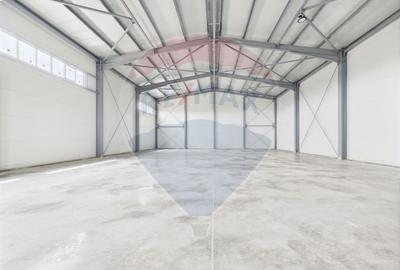 Spațiu industrial, de 600 mp, în Traian - 12