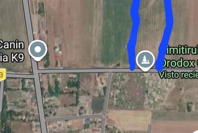 Teren de 5000 mp, în Corbu