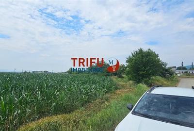 Spațiu comercial, în Central