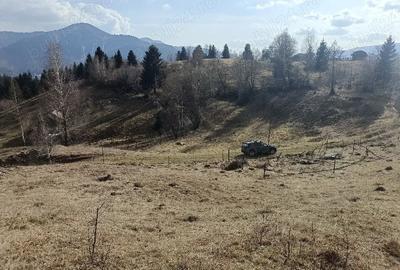 Teren de 3200 mp, în Dâmbovicioara - 5