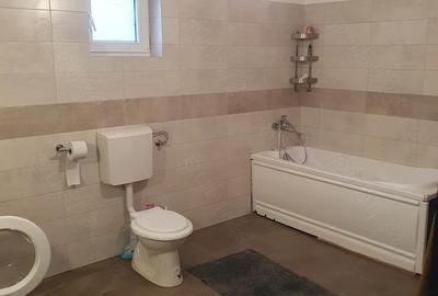Casă cu 2 camere cu Teren 2460 Mp în Aghireșu - 2