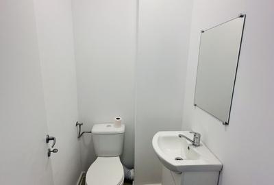 Spațiu industrial, de 447 mp, în Chitila - 12