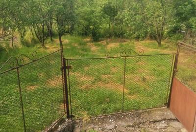 Casă cu 3 camere în Buciumeni - 8