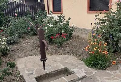 Casă cu 4 camere cu Teren 2000 Mp în Central - 16