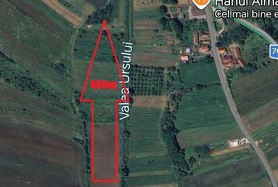 Teren de 4000 mp, în Cârjiți - 3