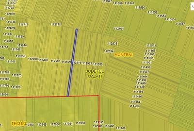 Teren agricol extravilan de 10098 mp, în Munteni - 3