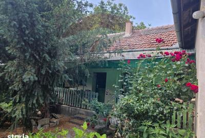 Casă cu 4 camere cu Teren 2676 Mp în Ciumeghiu - 7