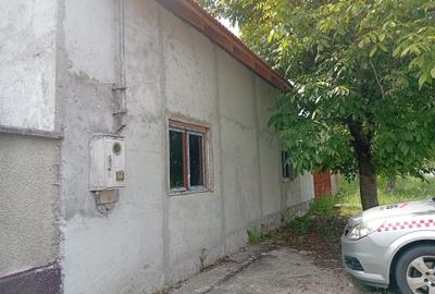 Casă cu 2 camere în Bârsa