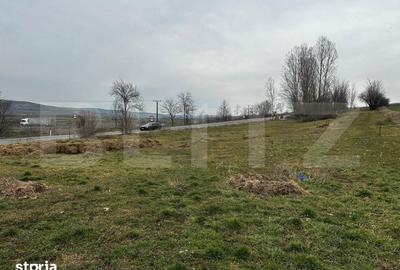 Teren de 6200 mp, în Central - 3