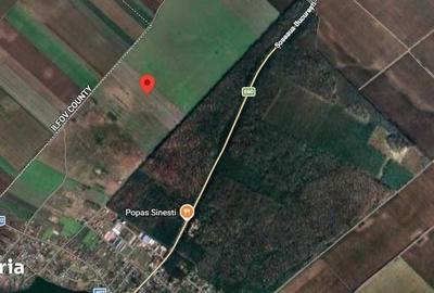 Teren de 33125 mp, în Sinești - 1