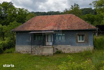 Casă cu 6 camere cu Teren 2143 Mp în Ribița - 10