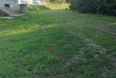 Casă cu 2 camere cu Teren 5400 Mp în Valea Lungă - 5