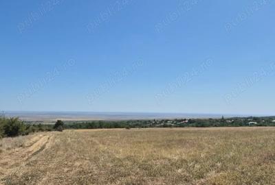 Teren în Grebănu - 8
