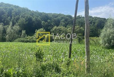Teren Construcții intravilan de 3772 mp, în Podiș - 4