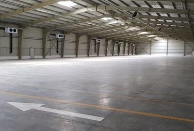 Spațiu industrial, de 600 mp, în Brănești
