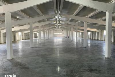 Spațiu comercial, de 120 mp, în Sântandrei - 7