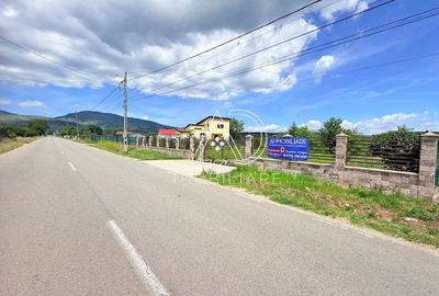 Teren de 8500 mp, în Runcu - 8