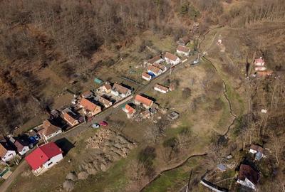 Teren de 302 mp, în Șoimoș - 10