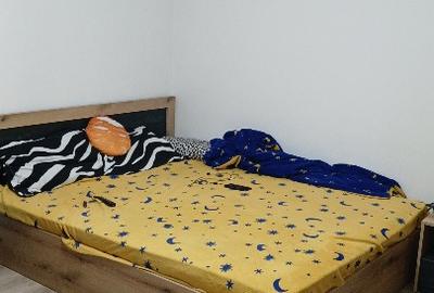 Apartament cu 3 camere decomandat în Negru Vodă - 9