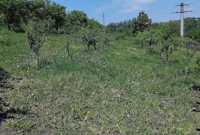 Teren de 6000 mp, în Fălticeni - 2