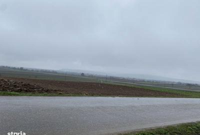 Teren de 1203 mp, în Comana - 5