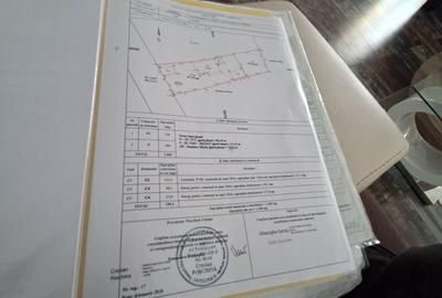 Casă cu 4 camere în Plopu - 5