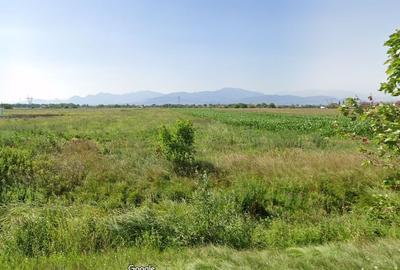 Teren Construcții intravilan de 14000 mp, în Stupini - 2