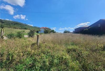 Teren agricol intravilan de 1840 mp, în Gușterița - 6