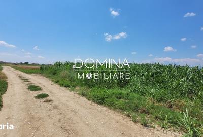 Teren de 3504 mp, în Bălești